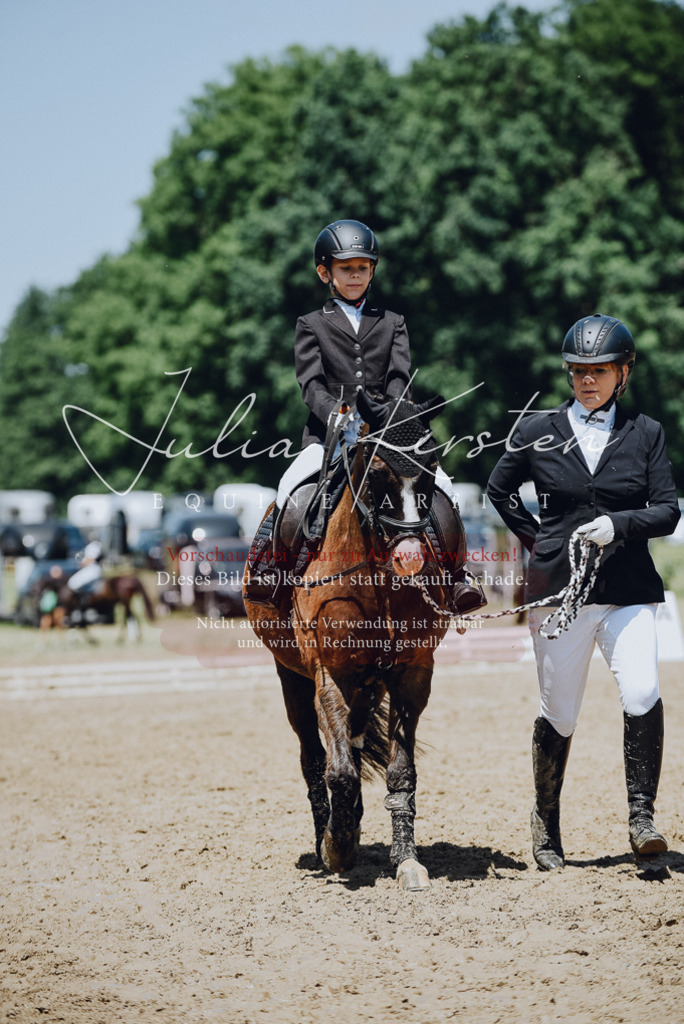 DSC_2226 | Pferde- und Turnierfotografie in Westsachsen. Pferdeportraits, Auftragszeichnungen und intuitive Kunst.