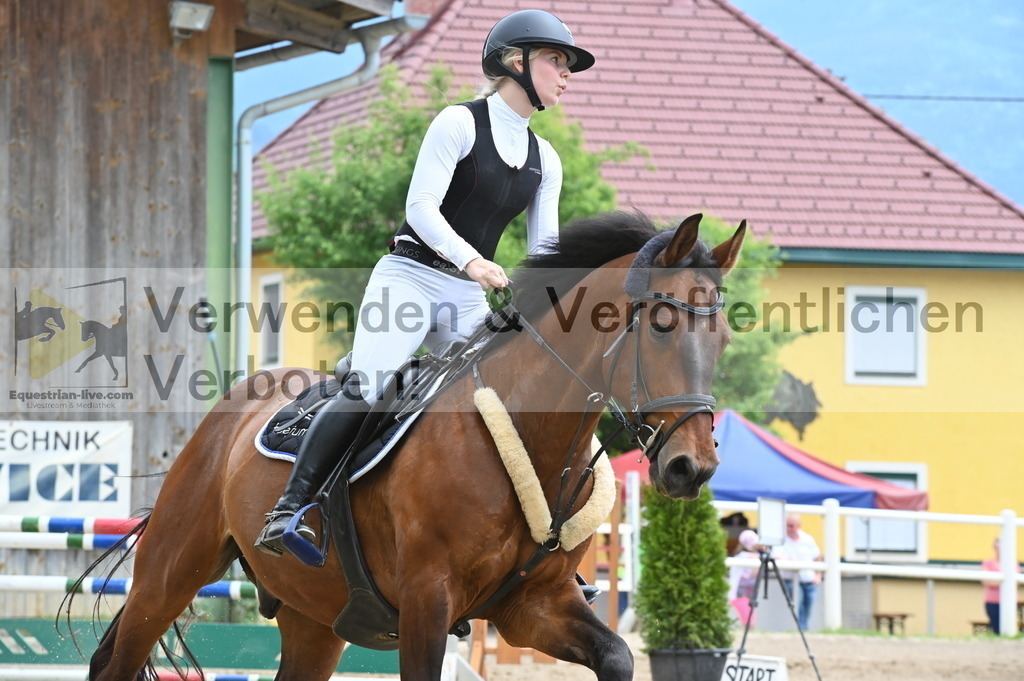DSC_8431 | equestrian-live-com
