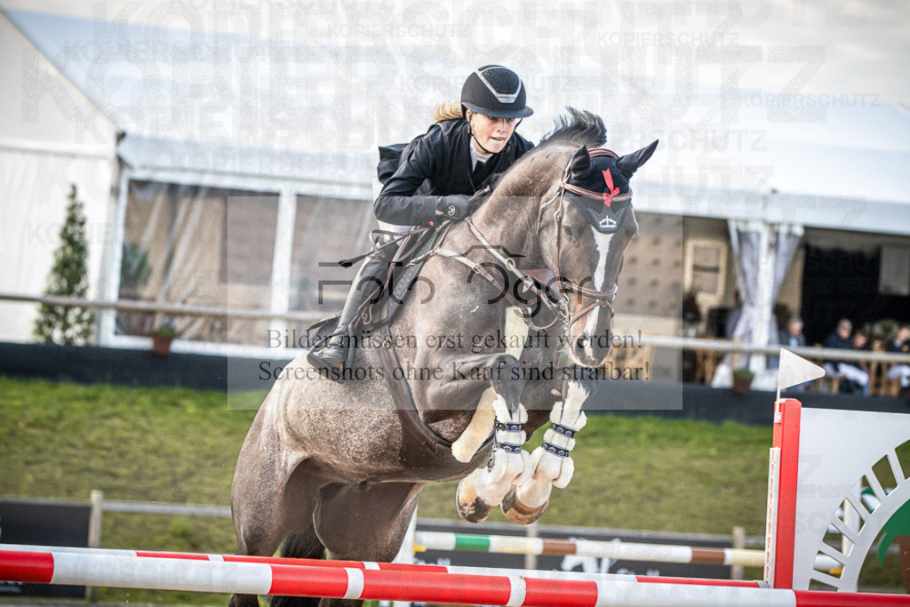 DOS_4201 | Entdecke hochwertige Reitturnierfotos von Foto Oger. Professionell, emotional und authentisch – jetzt Lieblingsmomente im Shop bestellen.Deutschlandweite Turnierfotografie. - Realisiert mit Pictrs.com