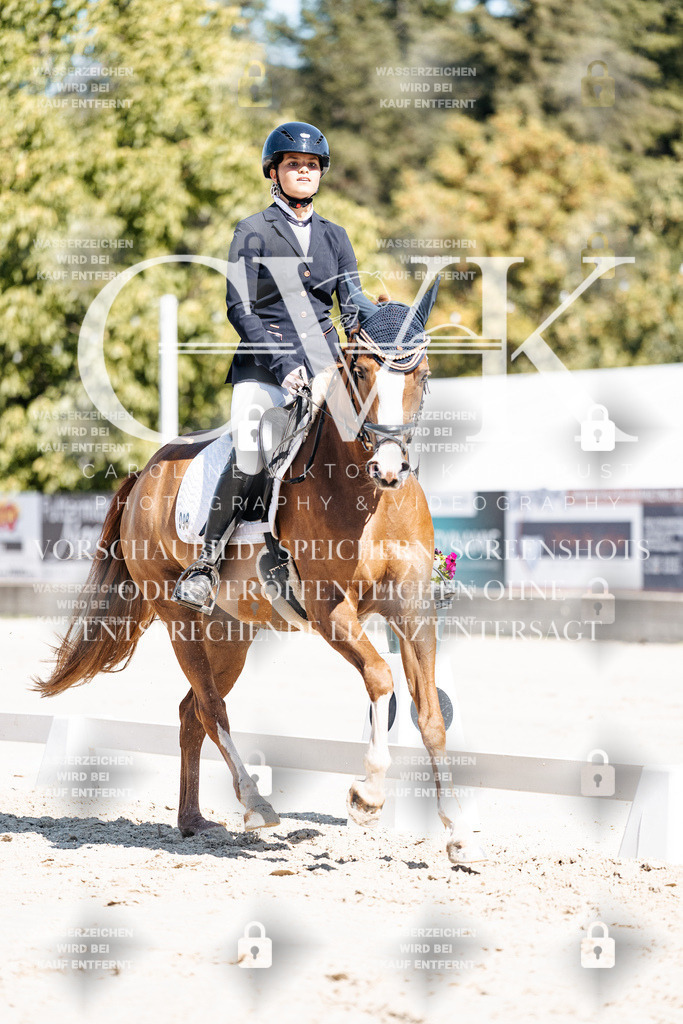 CK909219 | Turnierfotografie Pferdefotografie Trier Rheinland-Pfalz Pferdesport Reitsport Tierfotografie Sportfotografie Pferdevideo Pferdevideografie Equestrianvideography equestrianphotography  - Realisiert mit Pictrs.com