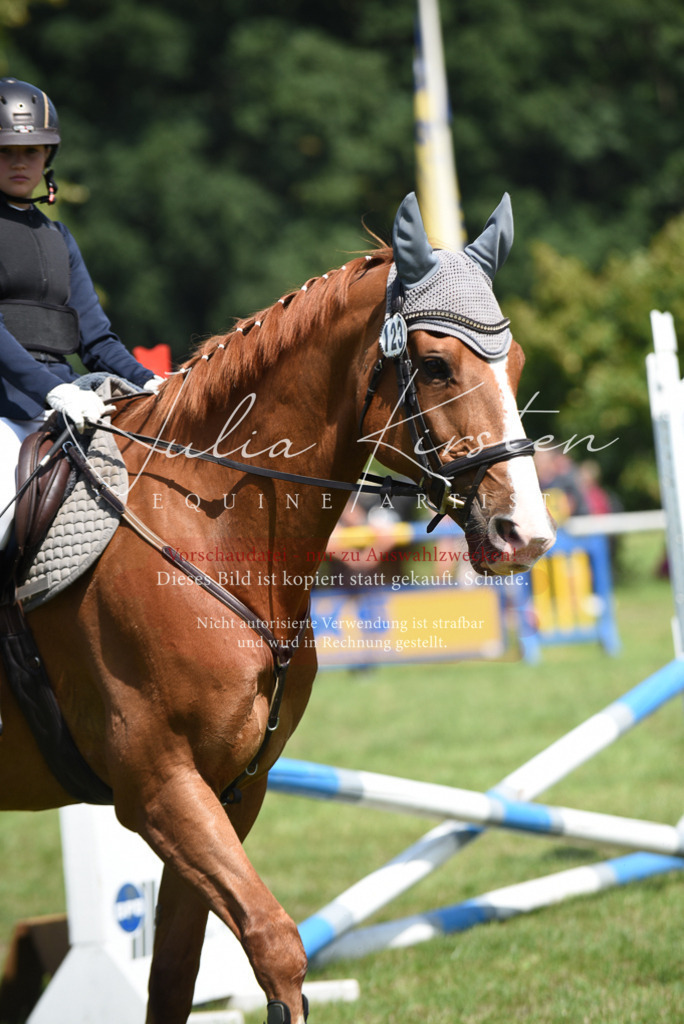 DSC_0075 | Pferde- und Turnierfotografie in Westsachsen. Pferdeportraits, Auftragszeichnungen und intuitive Kunst.