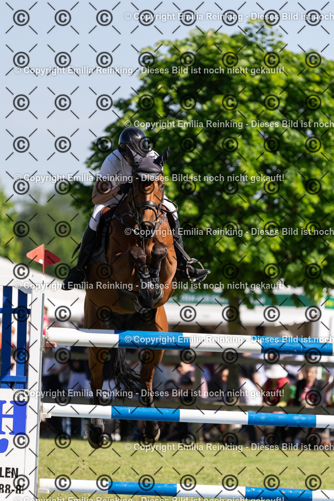 CL5A1399 | Emilia Reinking Fotografie - Realisiert mit Pictrs.com