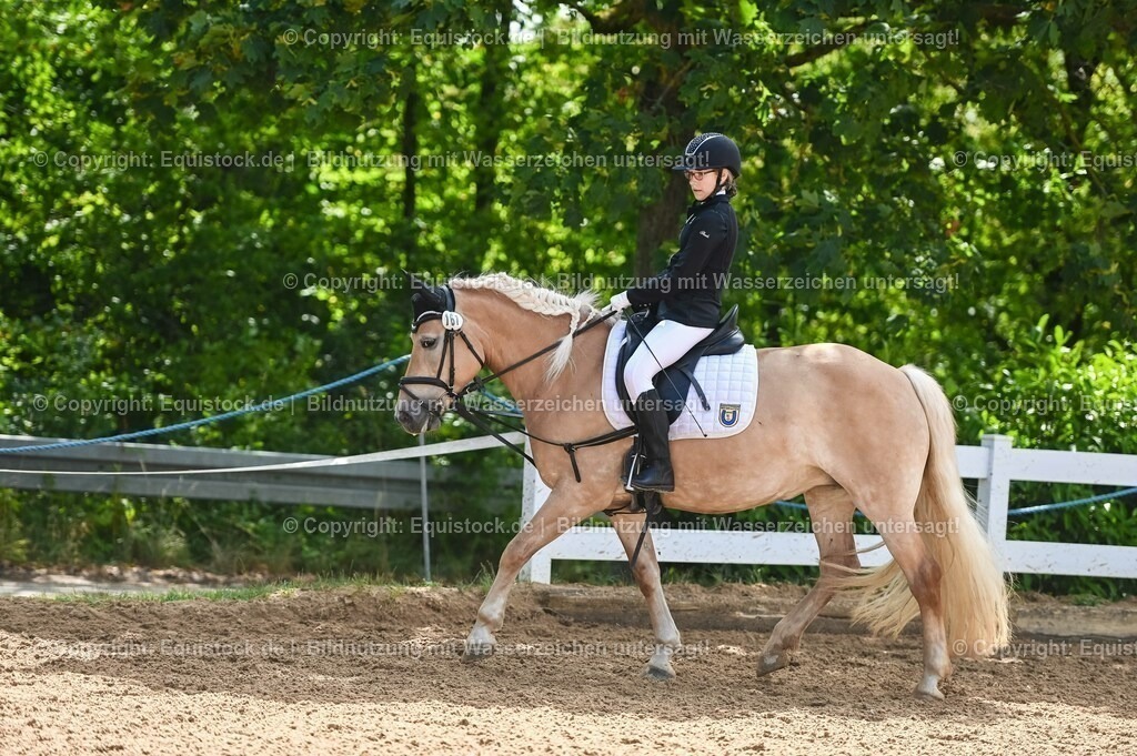 20230716_10-3_Reiter-WB Schritt - Trab - Galopp_0082 | equistock