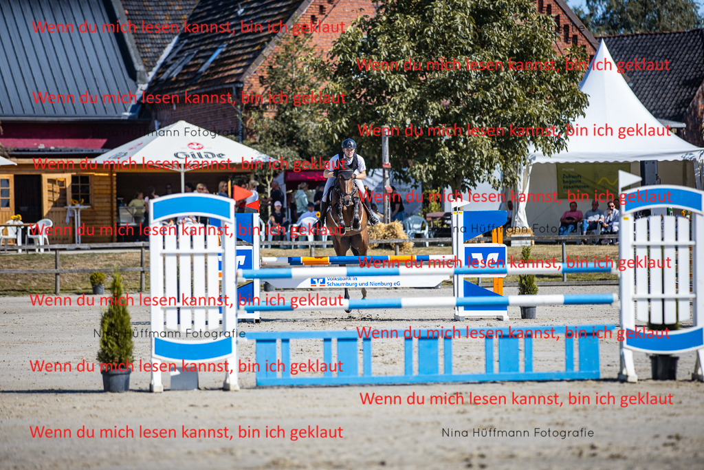 BK1A5629 | Turnierbilder Turnierfotos Nina Hüffmann Turnierfotografie Pferdefotografie Tierzeichnung Haustierzeichnung Pferdezeichnung Hundezeichnung Videograf  - Realisiert mit Pictrs.com