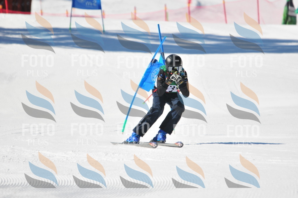 C3918 | holidayphoto