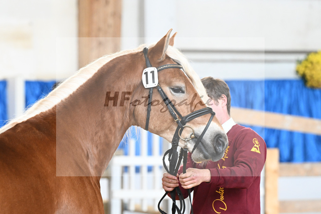 Kat-Nr. 11 nn v. Nordkerl_Nonn_48250225 | hf-fotografie - Realisiert mit Pictrs.com