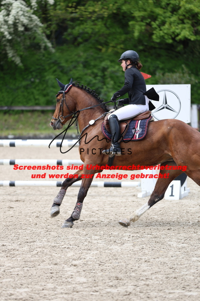 A40A1974 | lmwpictures - Realisiert mit Pictrs.com