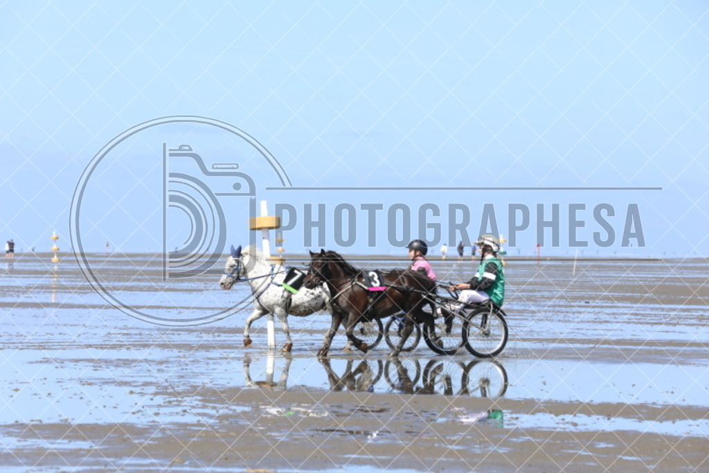 IMG_8744 | photographesa-joergens - Realisiert mit Pictrs.com