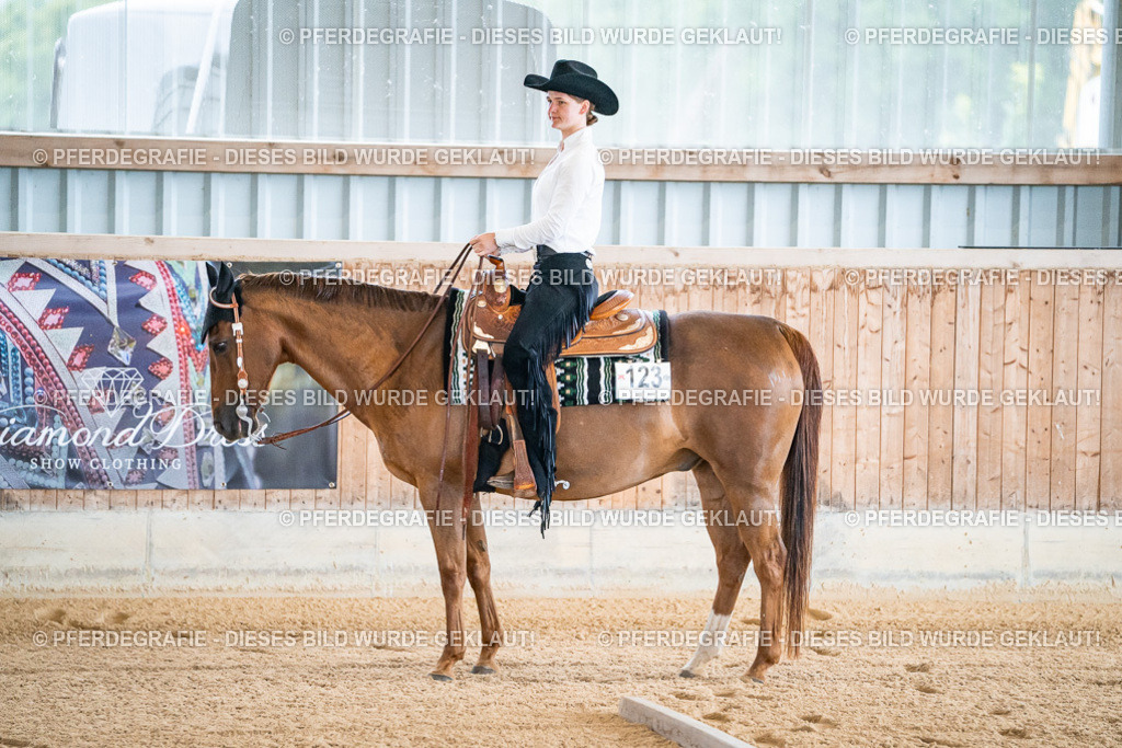 DSC01130 | Pferdegrafie