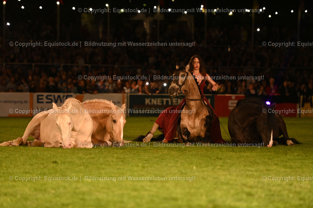20230526_Pferdenacht_1536 | equistock
