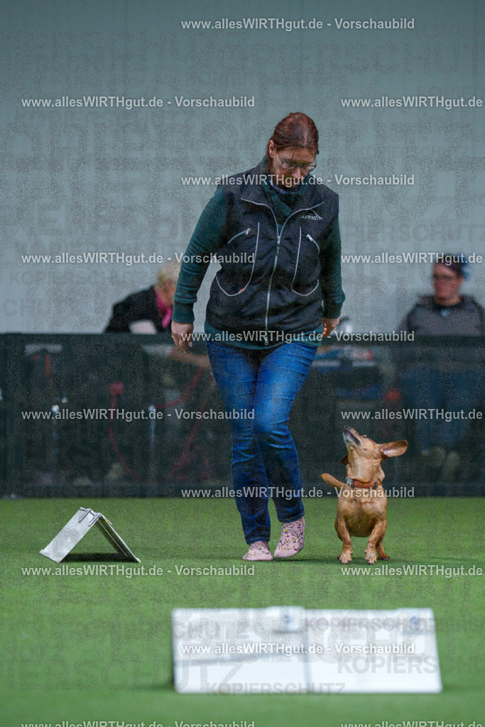 7R501876 | Professionelle Tierfotografie in Mönchengladbach von Daniel Wirth (allesWIRTHgut). Liebevolle & natürliche Bilder von Hunden & Katzen für unvergessliche Erinnerungen.