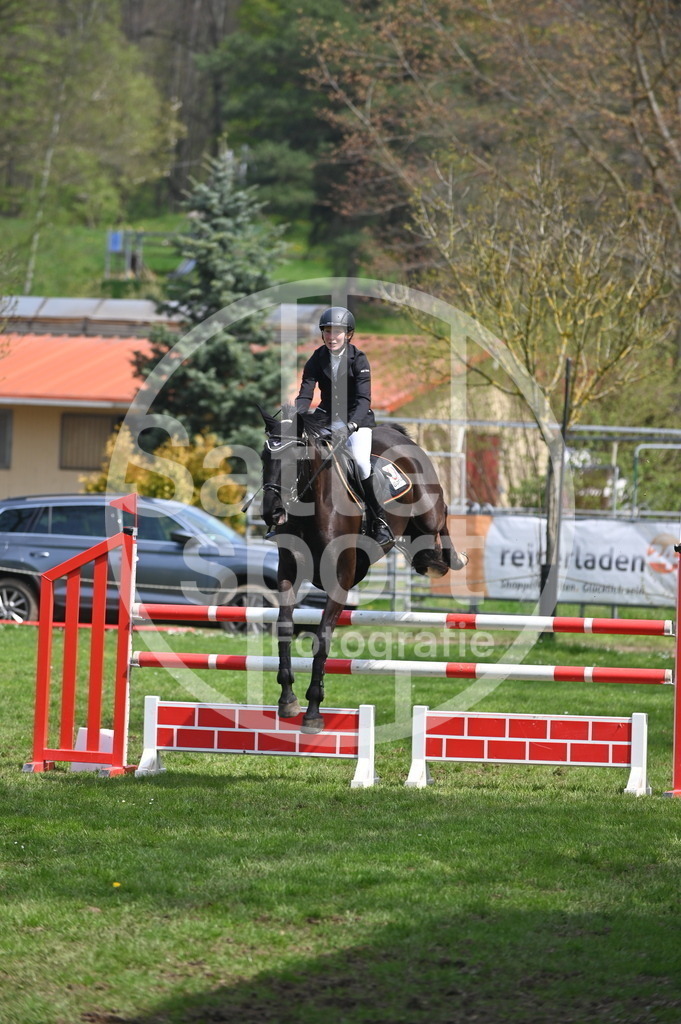 DSC_2429 | sattelsport - Realisiert mit Pictrs.com