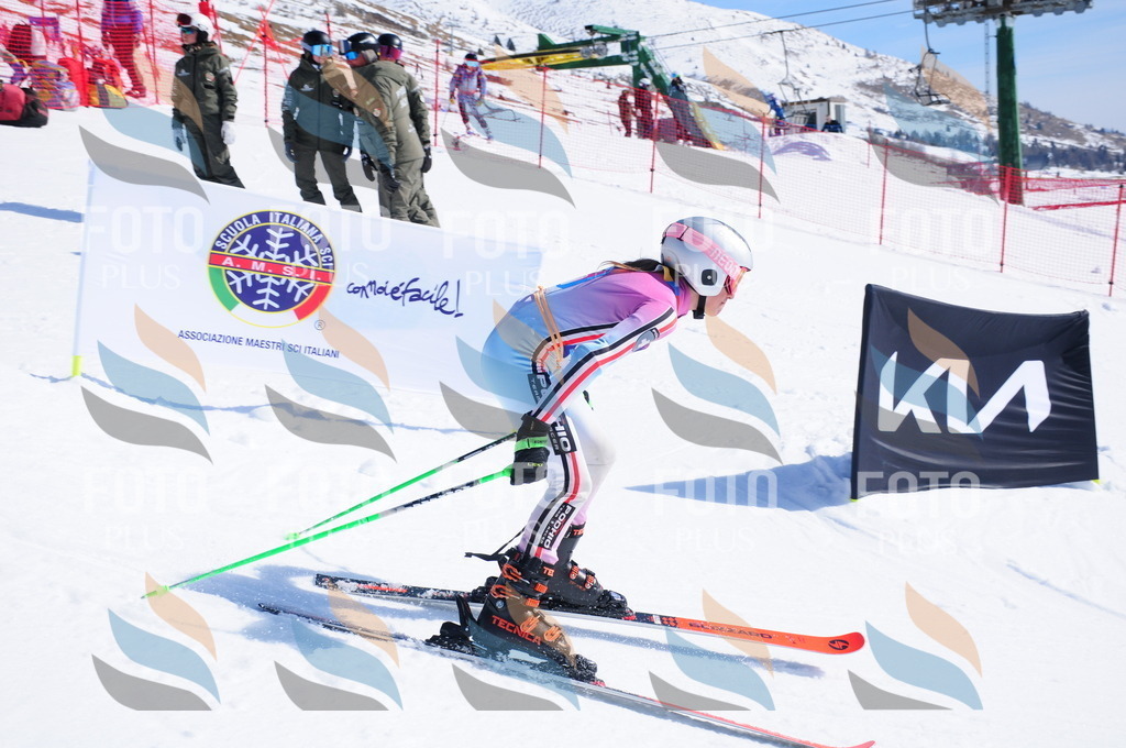 DSC_4659 | holidayphoto