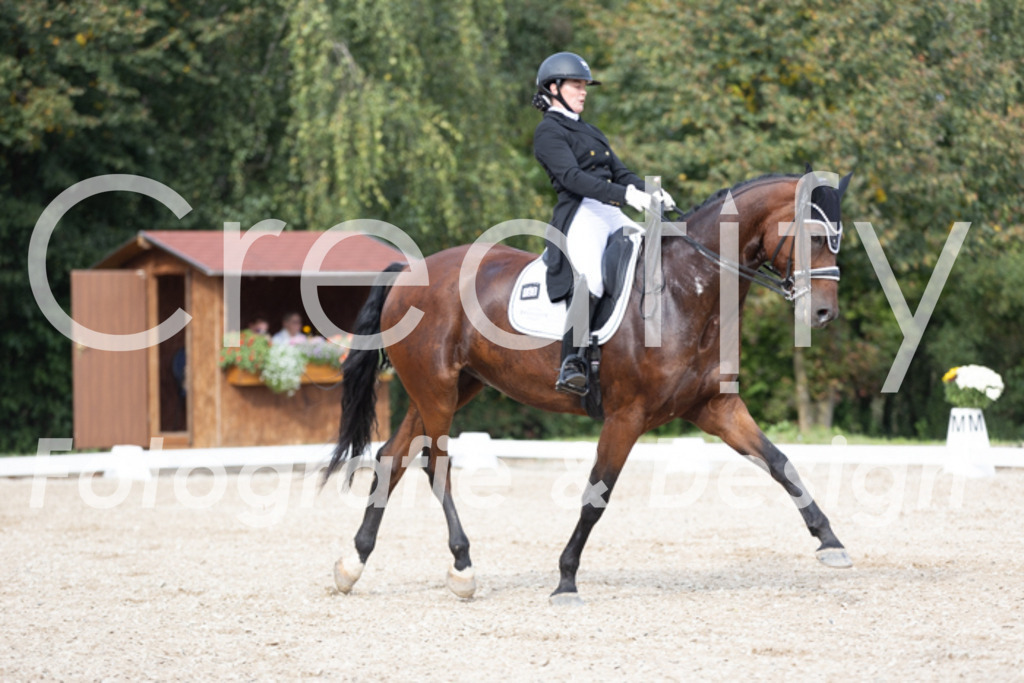 IMG_4583 | Creatify Fotografie