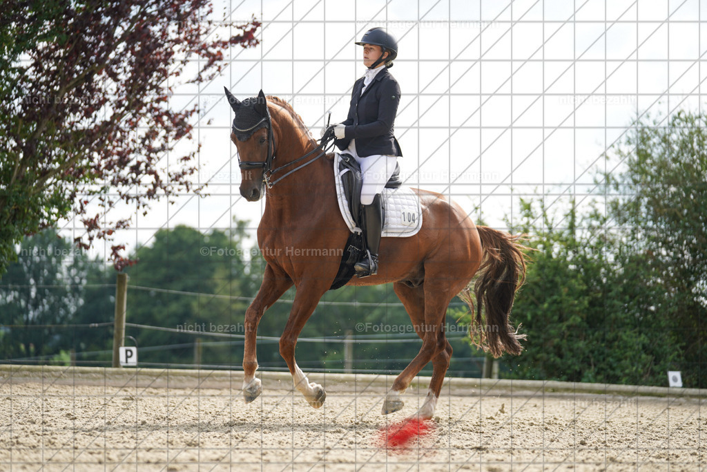 20230826-FAH06158 | Forstinning, 2023, Dressurturnier, Turniersportbilder, Turnierfotografen Bayern, Fotoagentur Herrmann, Reitsportfotografie, Turnierbilder