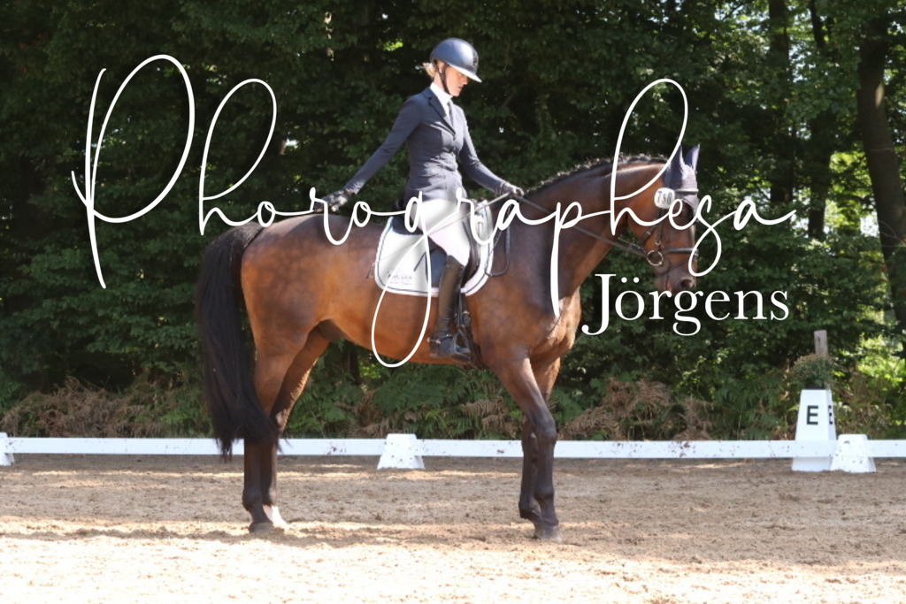 IMG_0555 | photographesa-joergens - Realisiert mit Pictrs.com