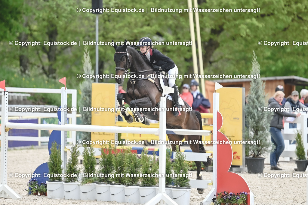 20230514_CCI4_Springen_0277 | equistock