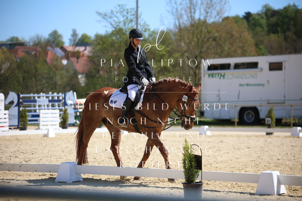 IMGT0996 | pl-fotografie