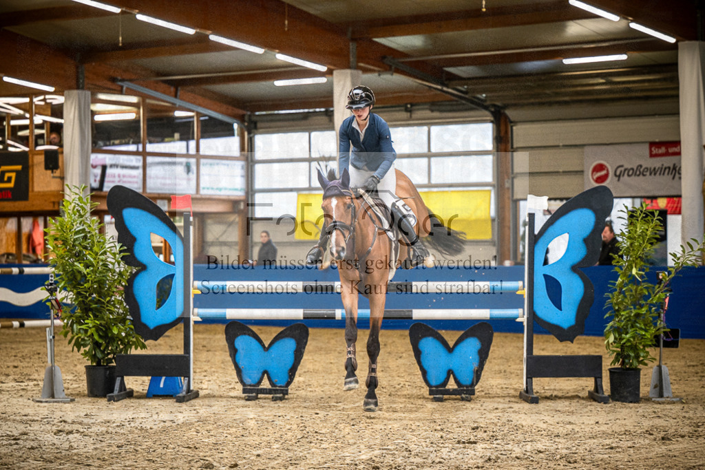 DOS_B1232 | Entdecke hochwertige Reitturnierfotos von Foto Oger. Professionell, emotional und authentisch – jetzt Lieblingsmomente im Shop bestellen.Deutschlandweite Turnierfotografie. - Realisiert mit Pictrs.com