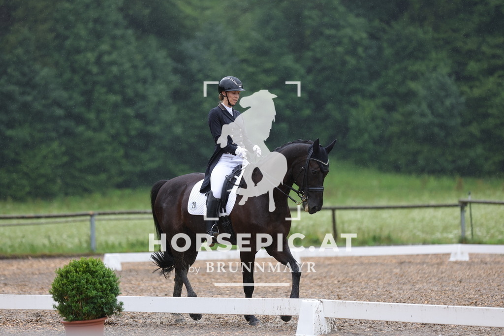 0P6A9562 | Willkommen bei Brunnmayr - Design & Fotografie – Ihrem Spezialisten für Reitturniere und Pferdeveranstaltungen in Oberösterreich, Salzburg und Bayern! Seit über 17 Jahren sind wir leidenschaftlich dabei.