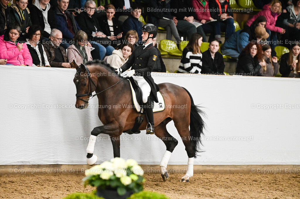 20260307_Hengstvorstellung-Marbach_0337 | equistock
