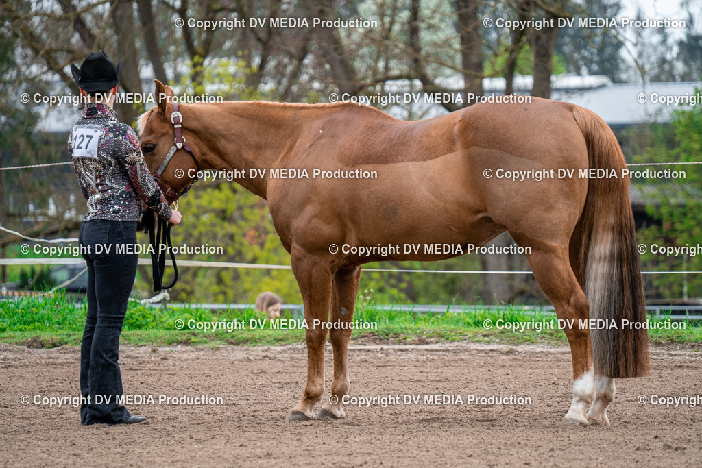 BA300098 | dv-media-shop - Realisiert mit Pictrs.com