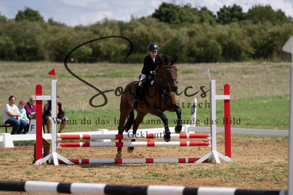 A7V03151 | Pferdefotograf