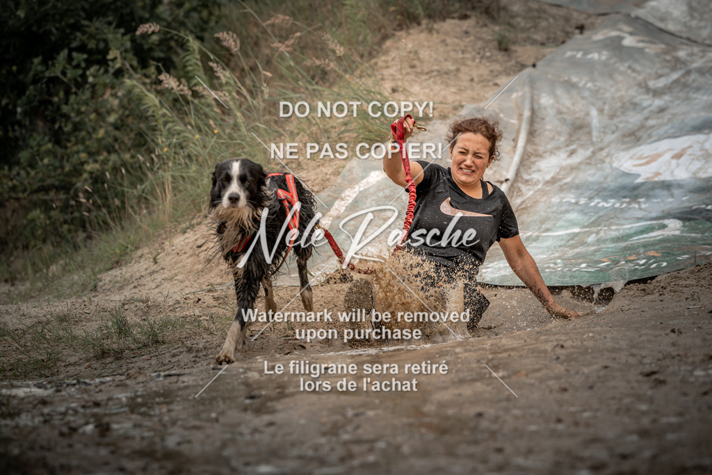 nelerasche_sa1300-1345_168 | nelerasche