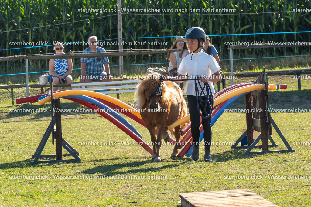 2026-08-08_16-32-19_WBO_Pulsnitz | sternberg.click - Realisiert mit Pictrs.com