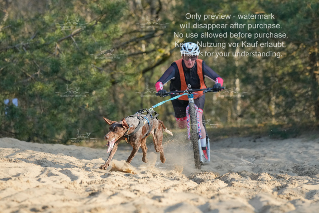 So_Scooter-21 | stephaniefillaphotographie - Realisiert mit Pictrs.com