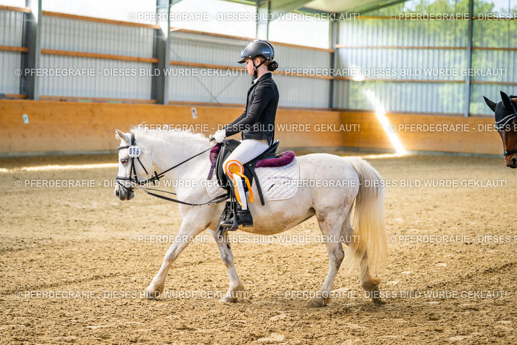 DSC02787 | Pferdegrafie