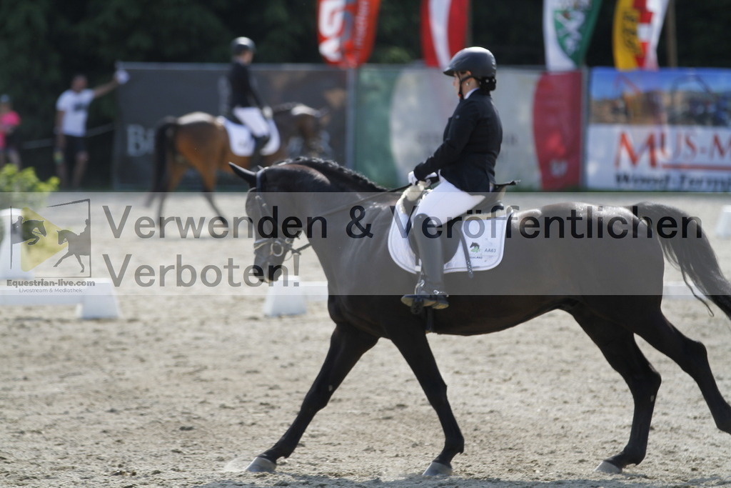 _MG_2239 | equestrian-live-com