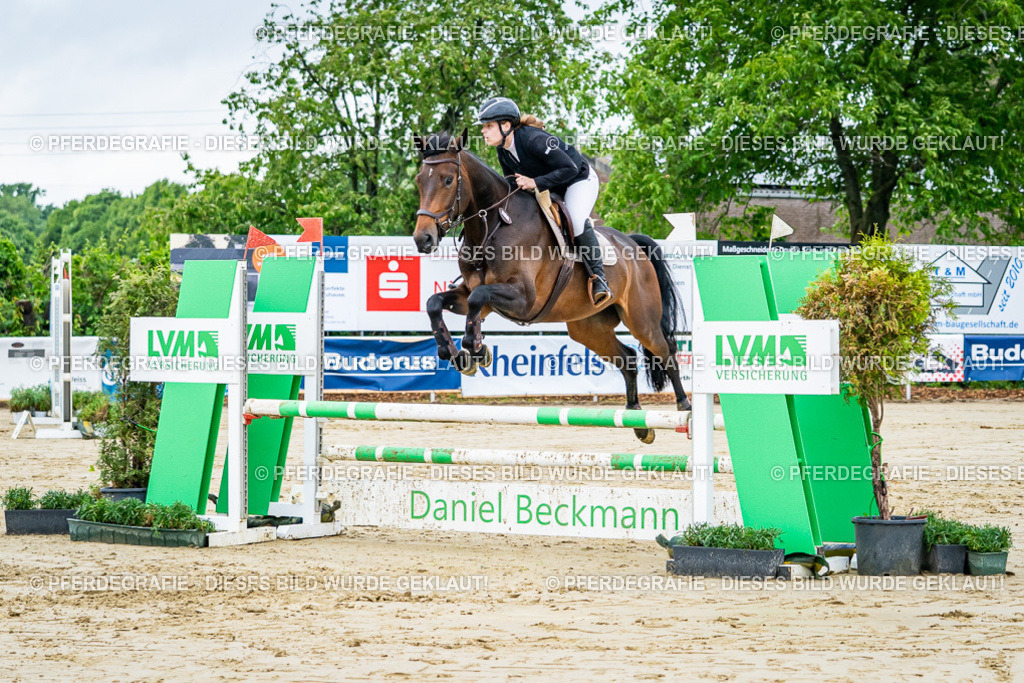 DSC02112 | Pferdegrafie