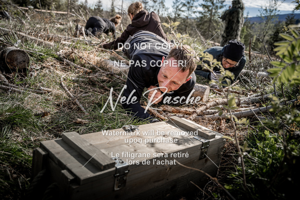 NR__2011 | nelerasche