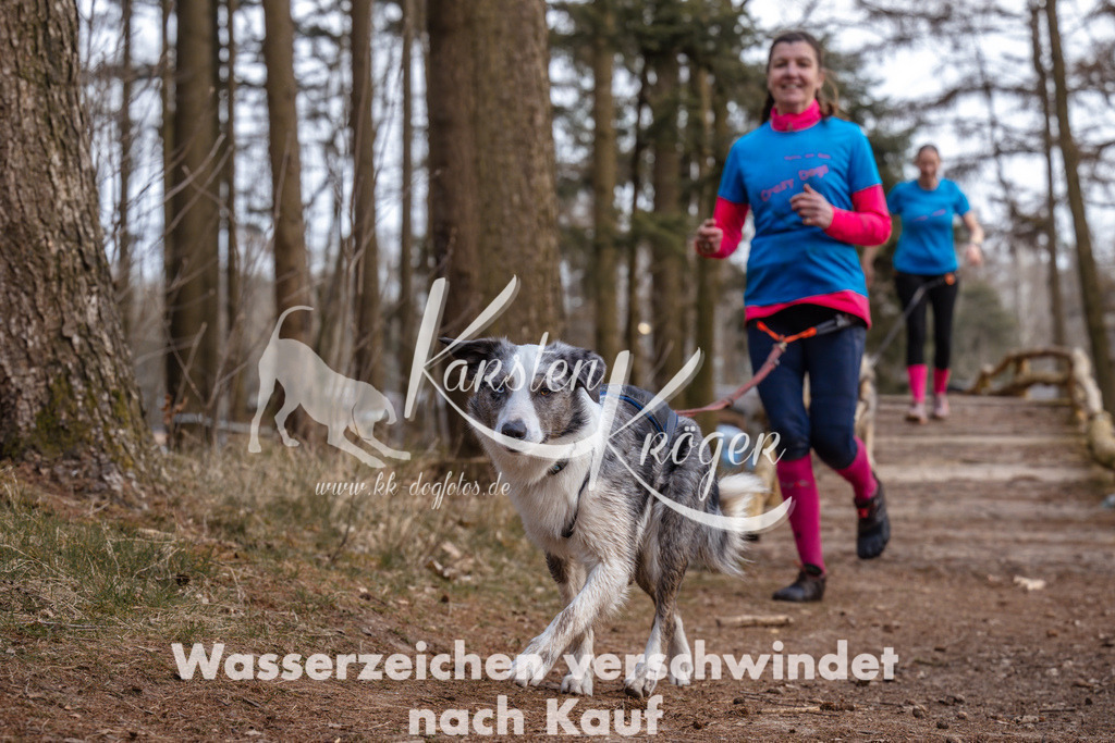 1658_ZZ95713 | kk-dogfotos