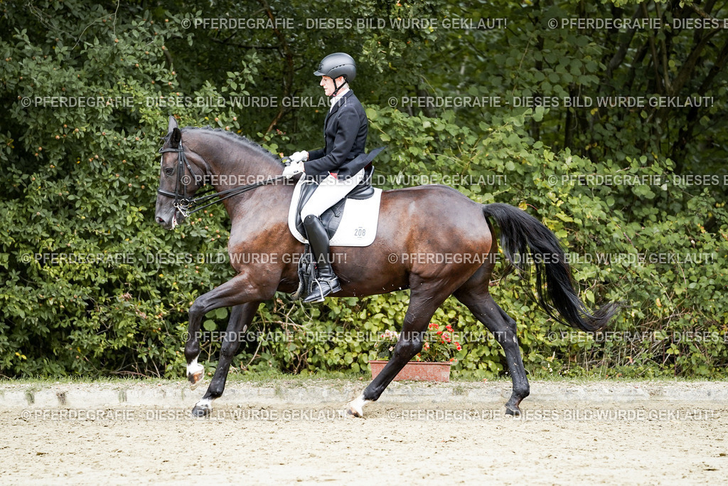 DSC05902 | Pferdegrafie