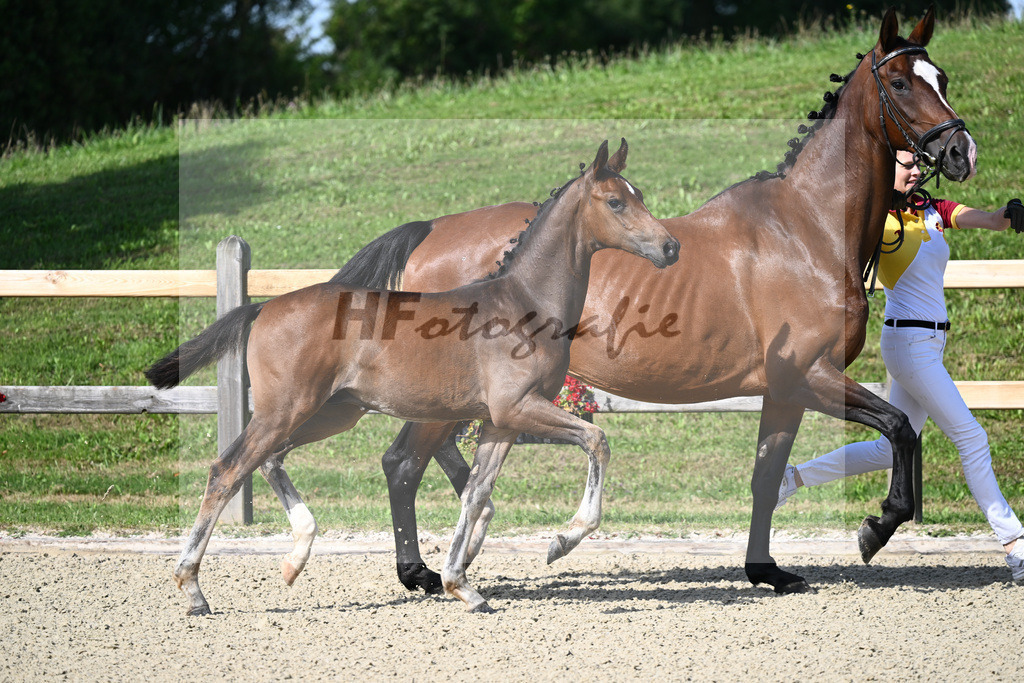 Kat-Nr. 3 HF Einmaleins x Stalypso_Loeffl_28230057 | hf-fotografie - Realizzato con Pictrs.com