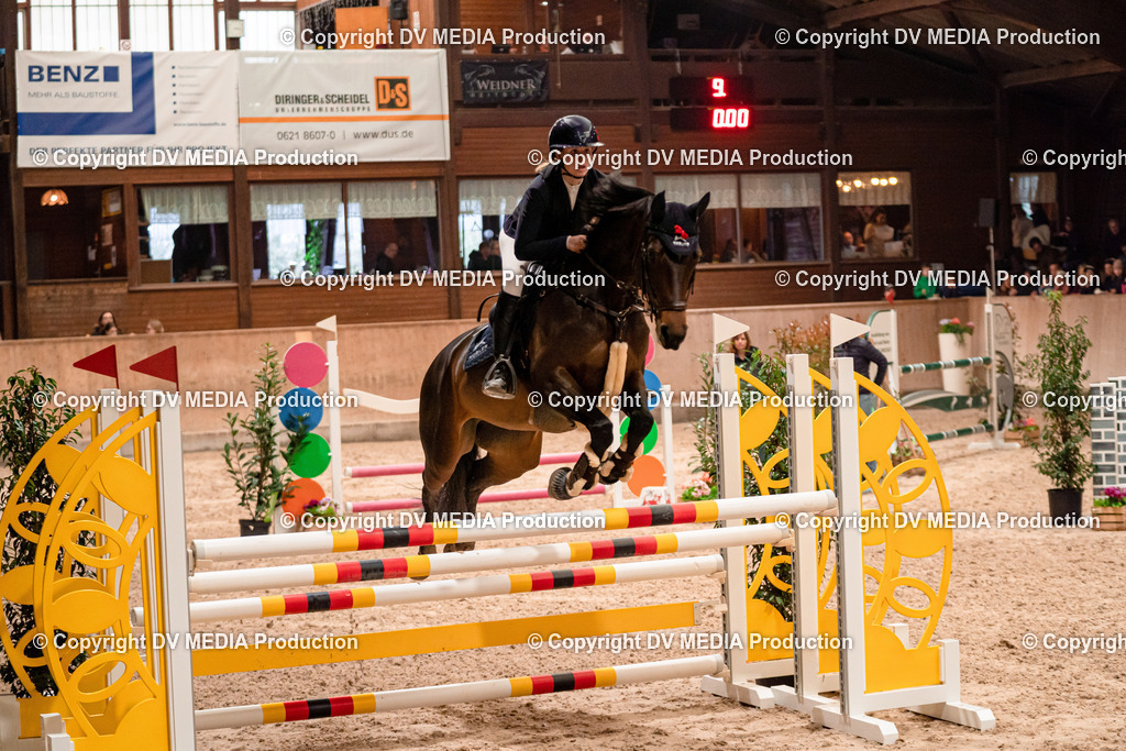 Springen Tag 2-621 | dv-media-shop - Realisiert mit Pictrs.com