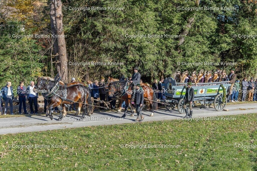 LBT25-505 | foto-bettina-krinner - Realisiert mit Pictrs.com