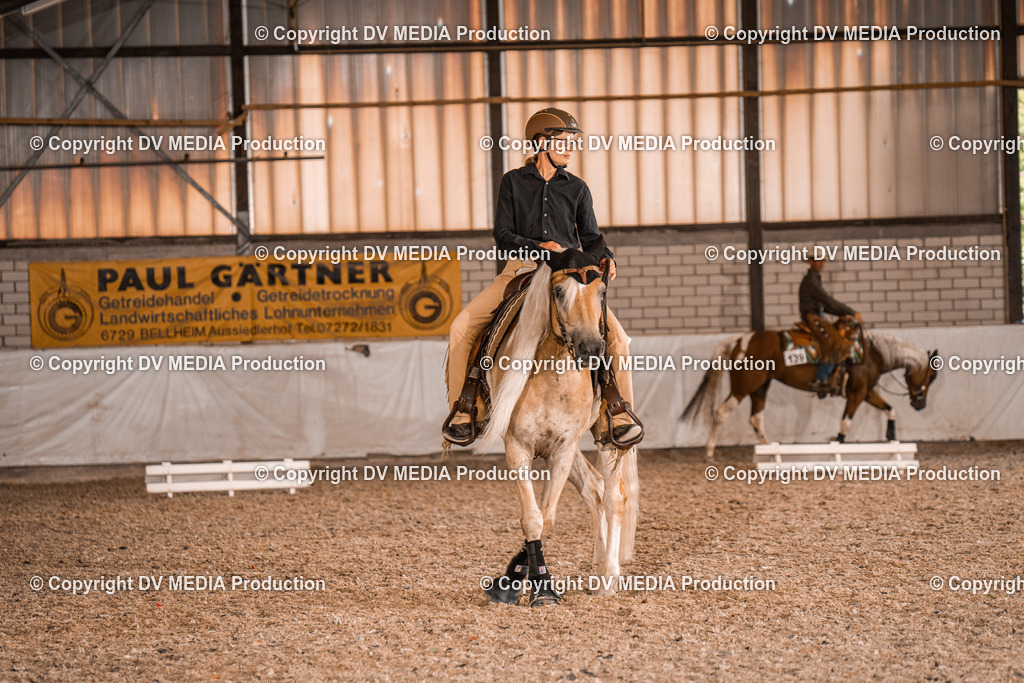 ZH100555 | dv-media-shop - Realisiert mit Pictrs.com