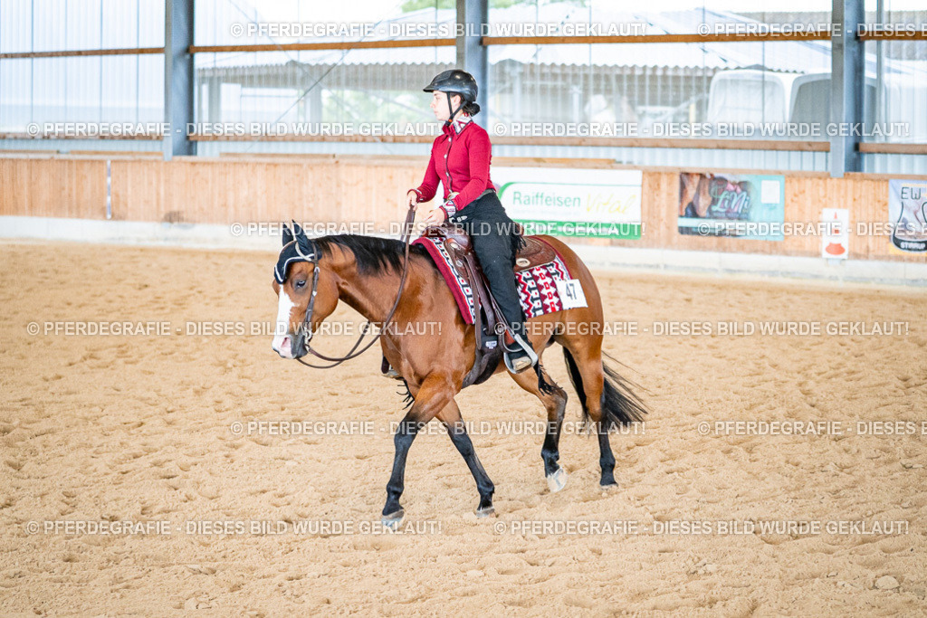 DSC02473 | Pferdegrafie