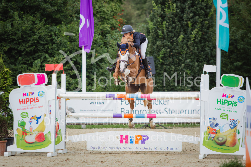 220729_BHO_GT_M2-Spr_1-260 | Deine schönsten Turniermomente als professionelle Fotos! Entdecke hochwertige Pferdesport-Fotografie im Online-Shop. Jetzt Fotos finden & bestellen!