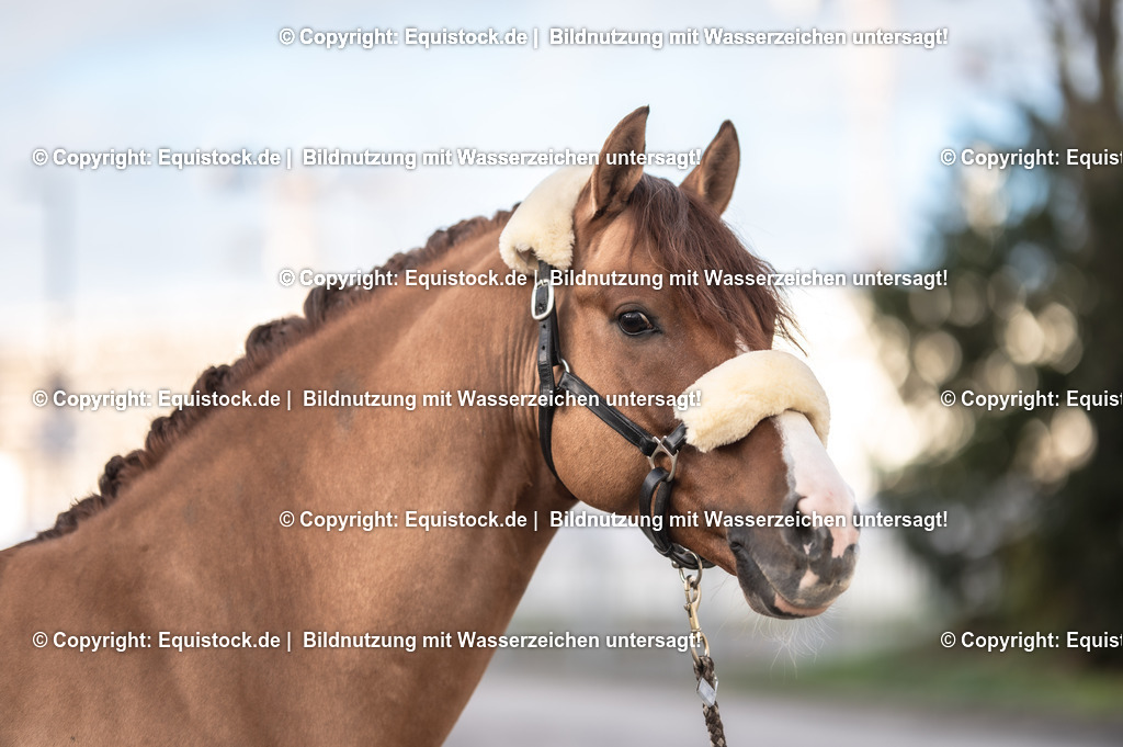 20231115_Ann-Cathrin-Rieg_und_Derrick_0023_TOMsPiC | Foto: Thomas Hartig