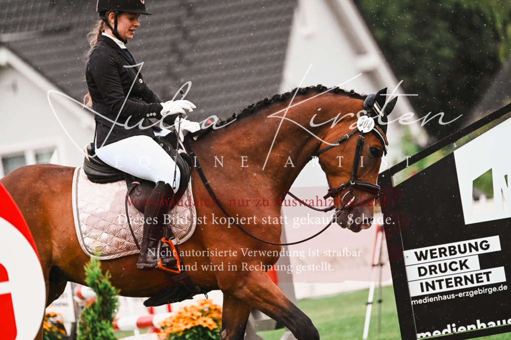 DSC_6616 | Pferde- und Turnierfotografie in Westsachsen. Pferdeportraits, Auftragszeichnungen und intuitive Kunst.
