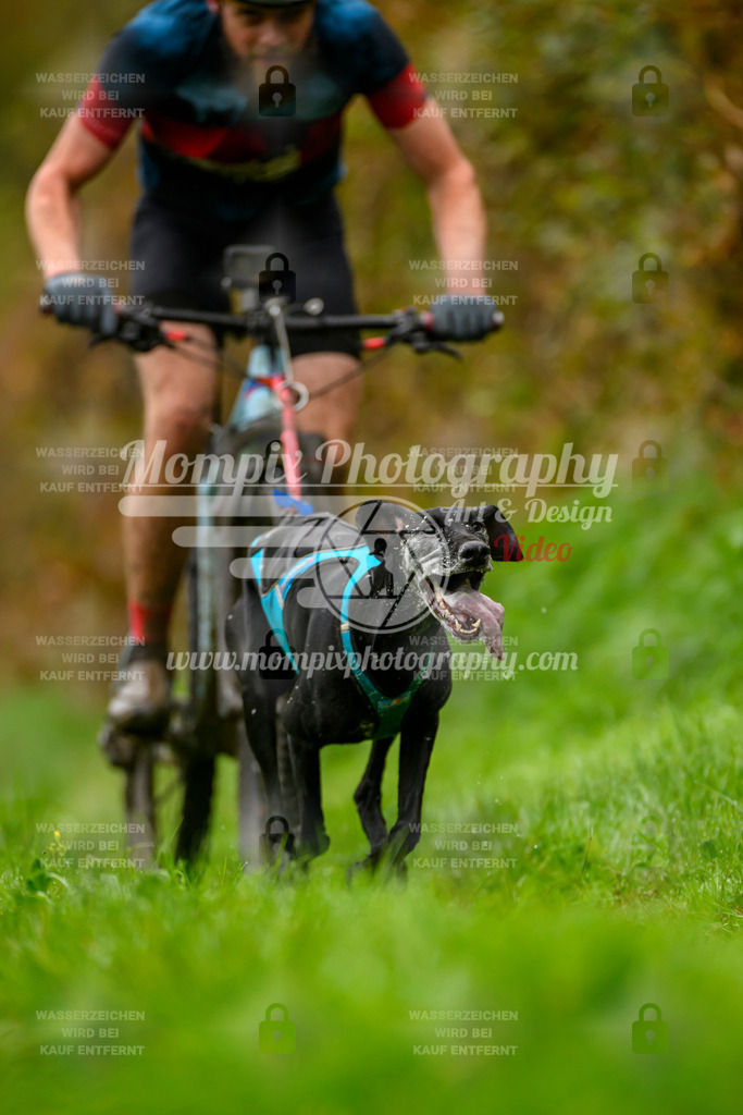 MompixPhotography_20TSB_E8_Bike-9 | PayLife