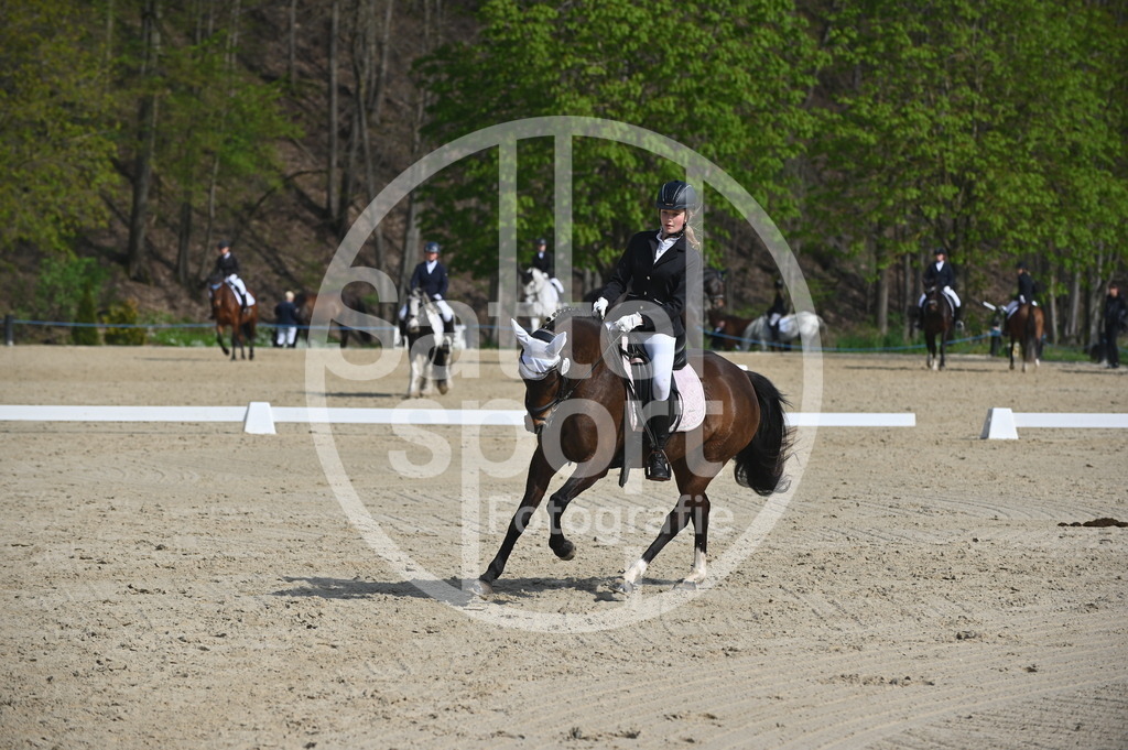 DSC_0584 | sattelsport - Realisiert mit Pictrs.com