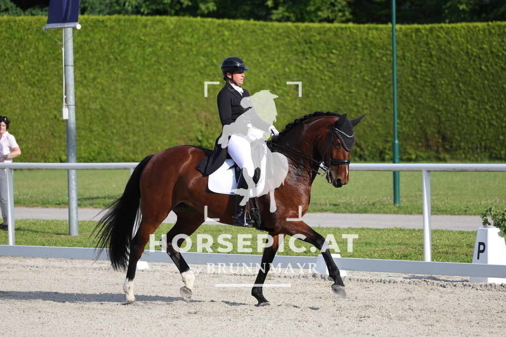 0P6A3906 | Willkommen bei Brunnmayr - Design & Fotografie – Ihrem Spezialisten für Reitturniere und Pferdeveranstaltungen in Oberösterreich, Salzburg und Bayern! Seit über 17 Jahren sind wir leidenschaftlich dabei.