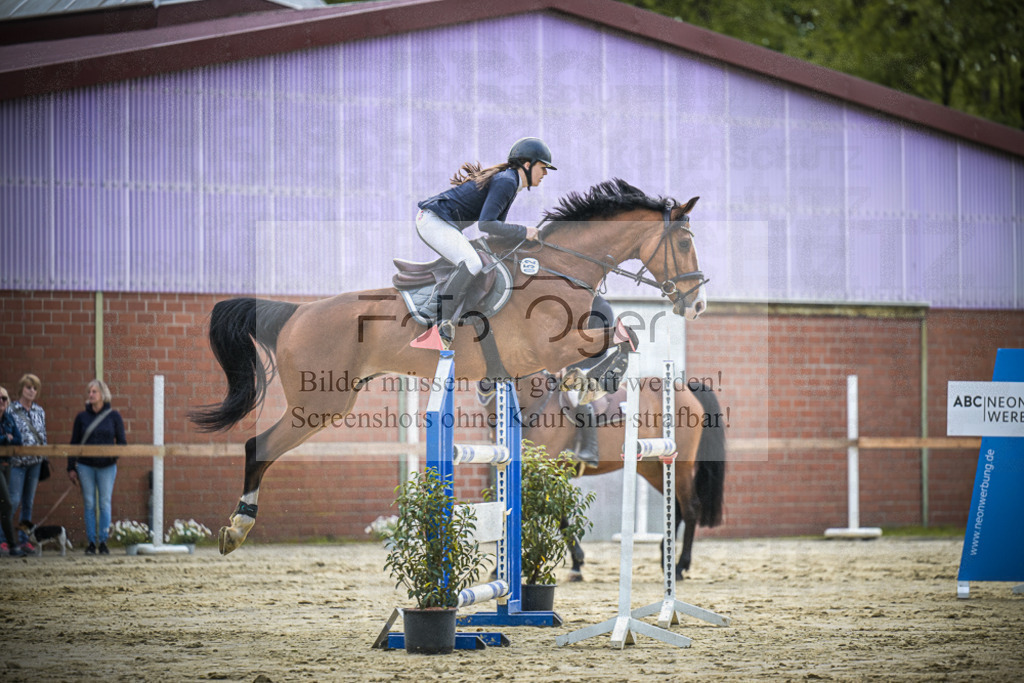 DOS_1954 | Entdecke hochwertige Reitturnierfotos von Foto Oger. Professionell, emotional und authentisch – jetzt Lieblingsmomente im Shop bestellen.Deutschlandweite Turnierfotografie. - Realisiert mit Pictrs.com