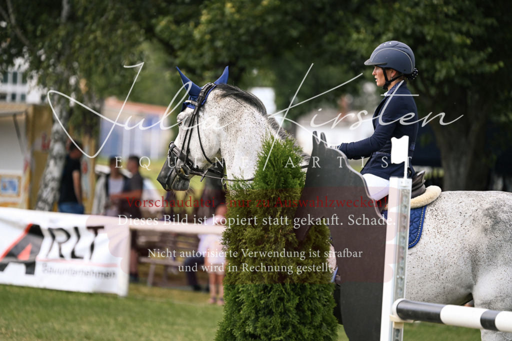 DSC_0923 | Pferde- und Turnierfotografie in Westsachsen. Pferdeportraits, Auftragszeichnungen und intuitive Kunst.