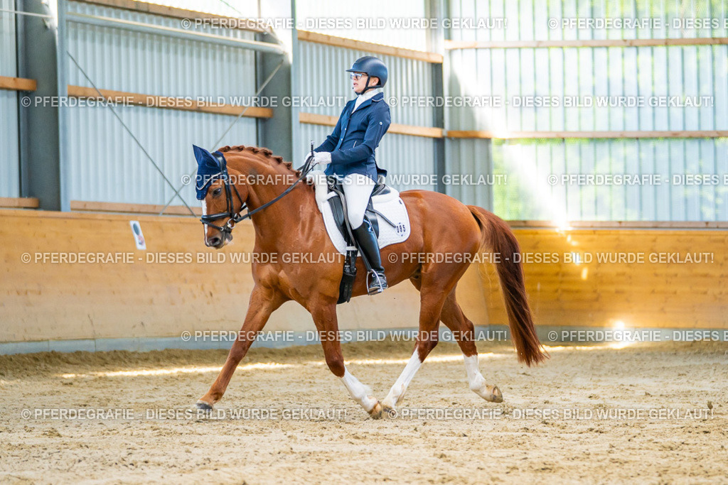 DSC06504 | Pferdegrafie